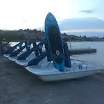 Gvardiol *